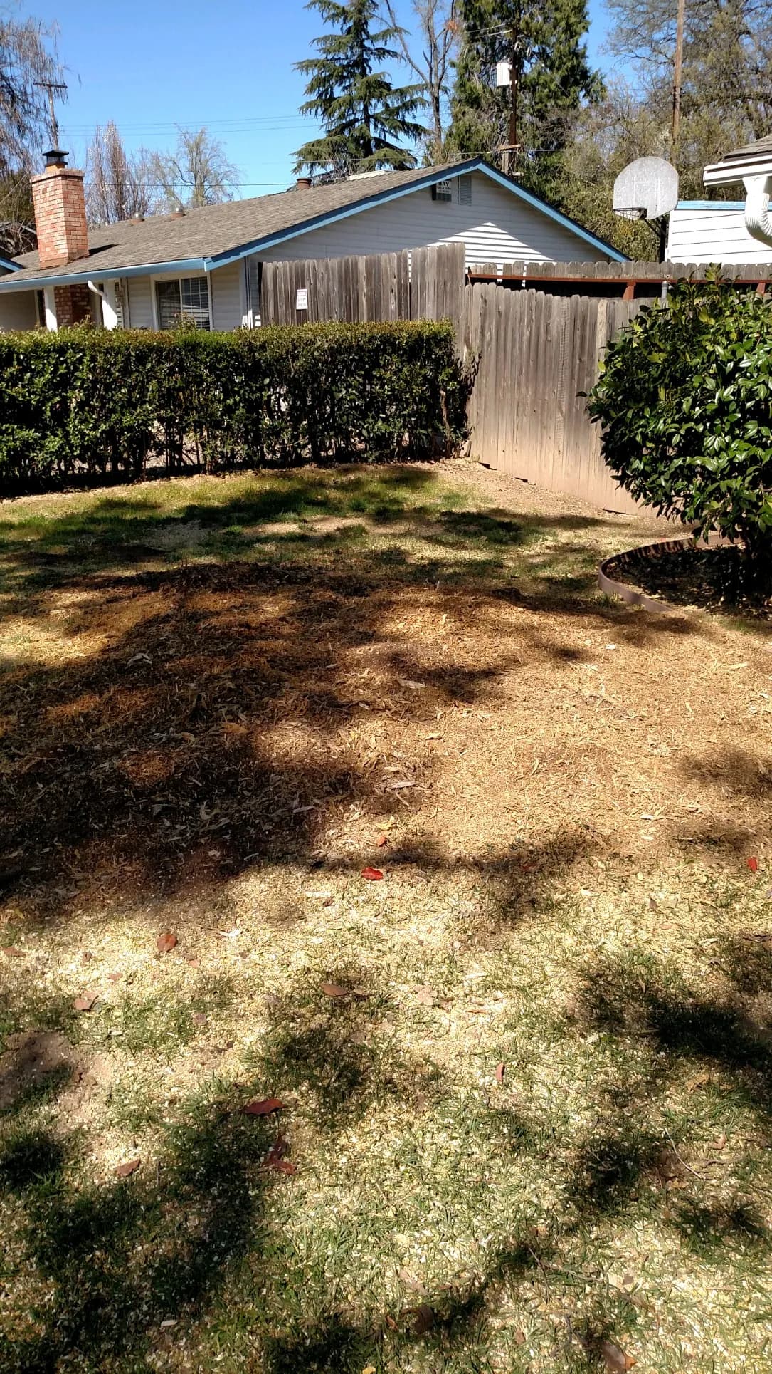 Woodchip Delivery - Capital Tree Service