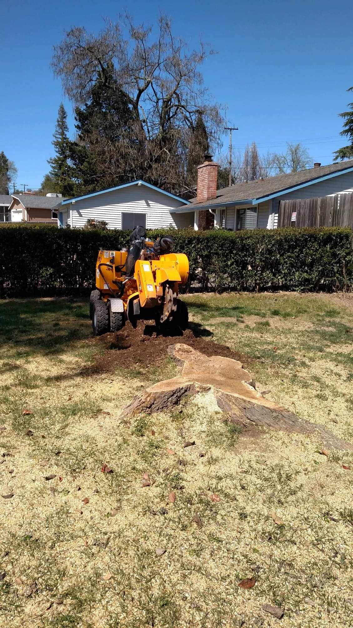 Woodchip Delivery project example 2