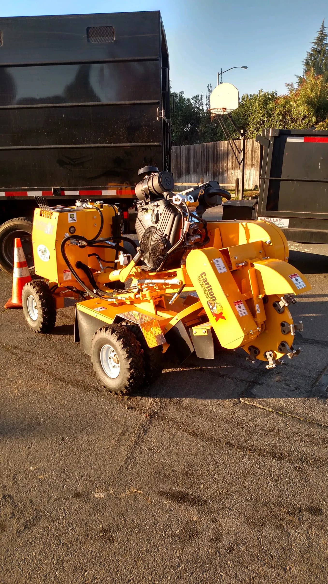 Capital Tree Service crew at work in Northern California