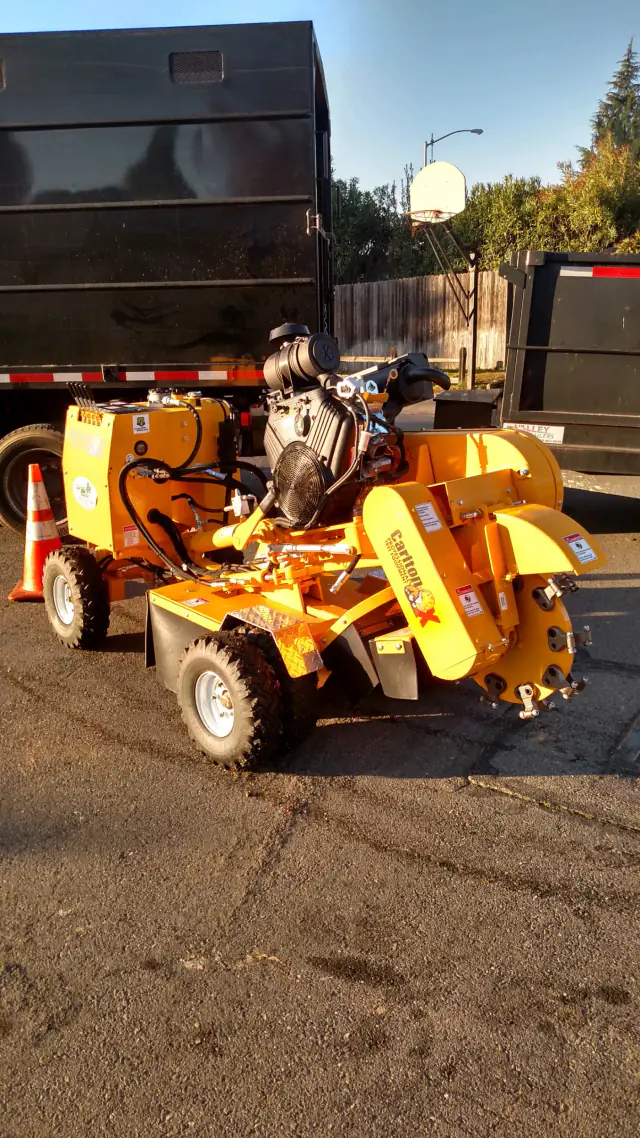 Stump Grinding - Capital Tree Service