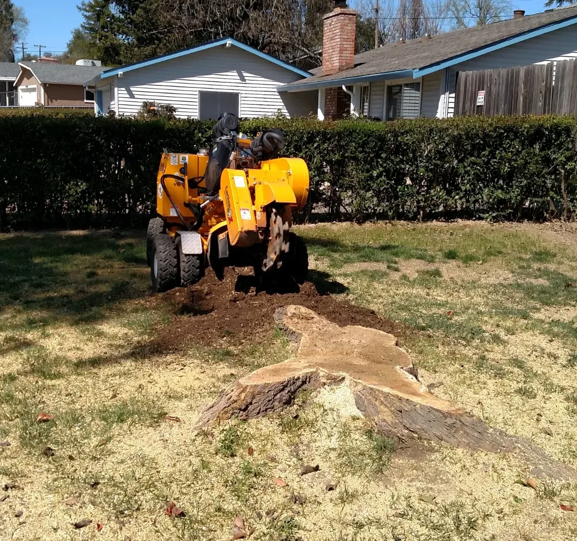 Stump Grinding